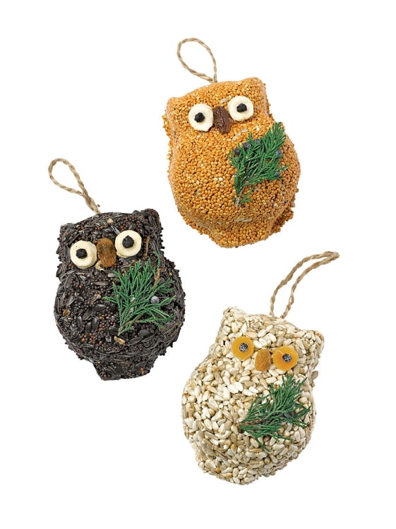 Ollie the Owl Bird Treat Trio Set | Mr. Bird