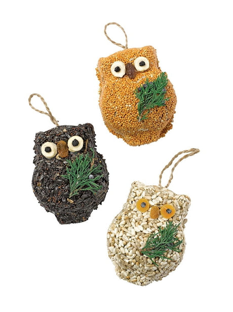 Ollie the Owl Bird Treat Trio Set | Mr. Bird