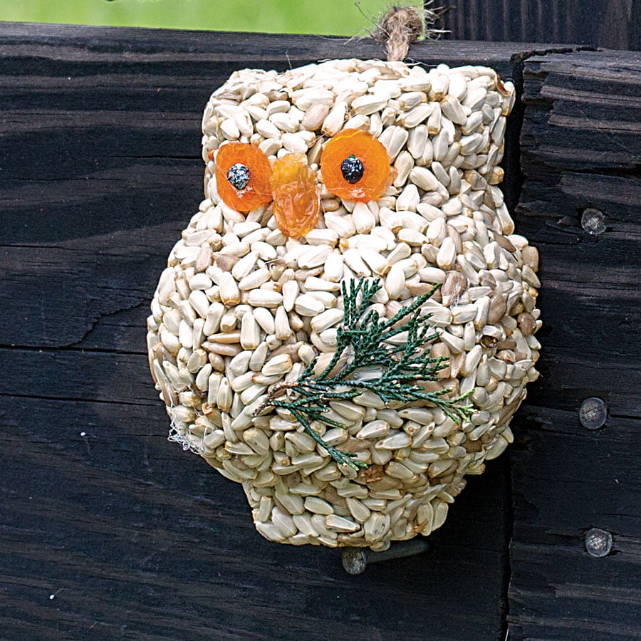 Ollie the Owl Bird Treat Trio Set | Mr. Bird