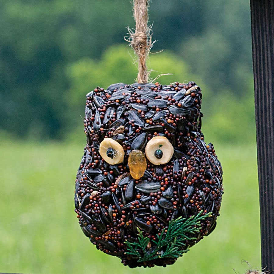 Ollie the Owl Bird Treat Trio Set | Mr. Bird