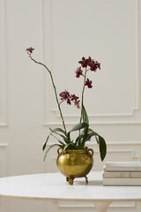 Gold Aluminum Bubbling Cauldron
