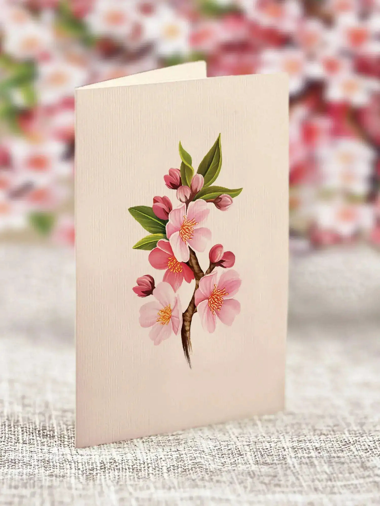 Mini Japanese Cherry Blossoms Pop-Up Card | FreshCut Paper