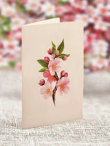 Mini Japanese Cherry Blossoms Pop-Up Card | FreshCut Paper