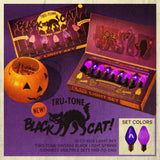 Black Cat Purple Classic Light Strand | Tru-Tone