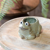 Ceramic Frog Mini Planter
