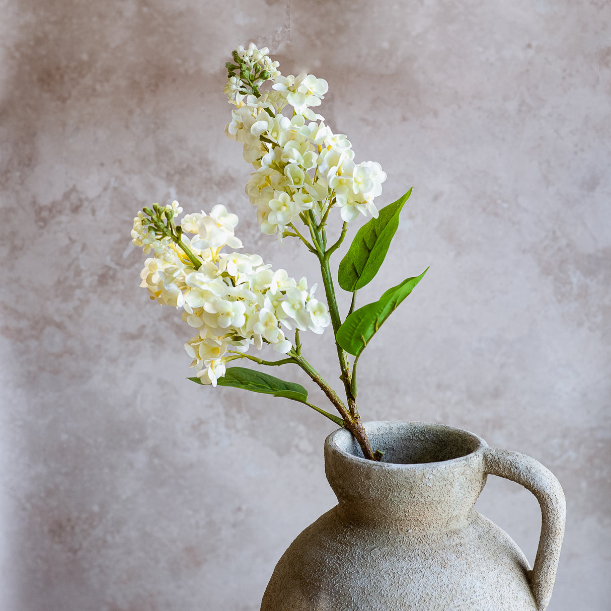 White Cone Hydrangea Stem