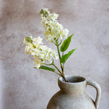 White Cone Hydrangea Stem