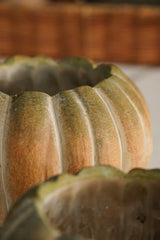 Fall Ombre Cement Pumpkin Planters | 3 Sizes