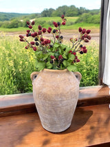 Distressed Clay Terracotta Urn with Side Handles