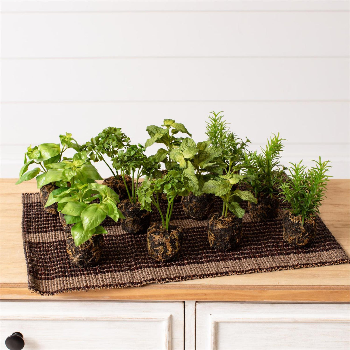 Faux Herb Plants in Soil
