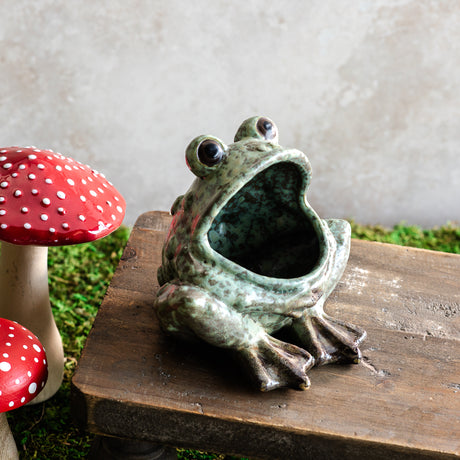 Open Mouth Ceramic Frog Planter