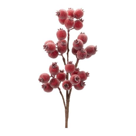 Frosted Red Berry Spray