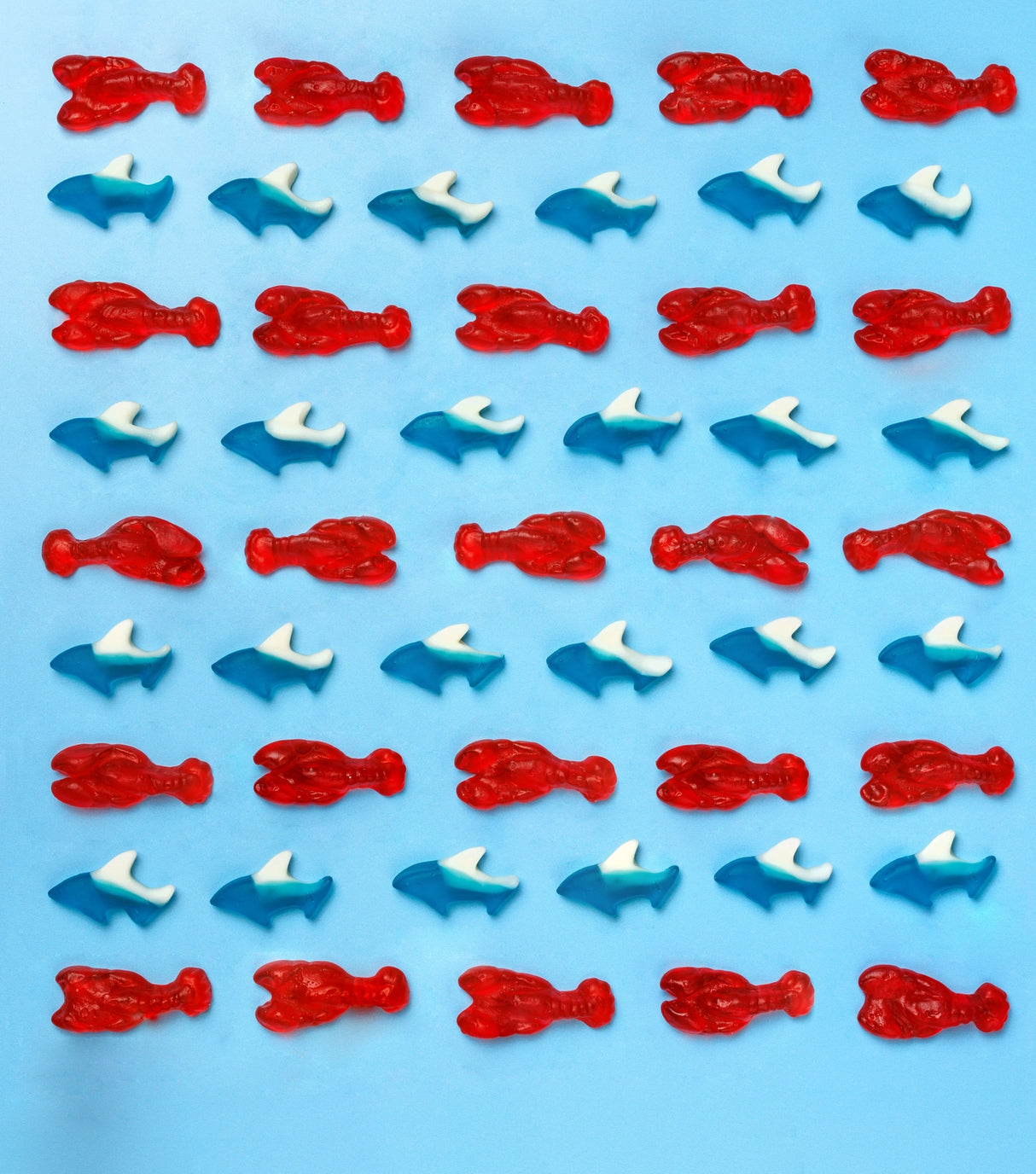 Sea Sharks Gummies | Candy Club