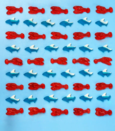 Sea Sharks Gummies | Candy Club