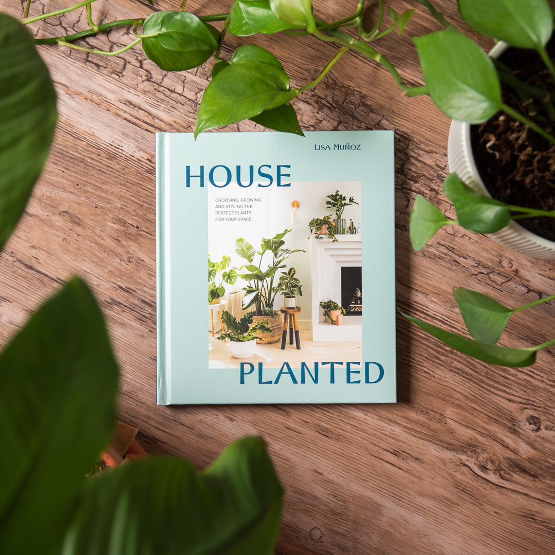 House Planted Book | Choosing, Growing, and Styling The Perfect Plants for Your Space