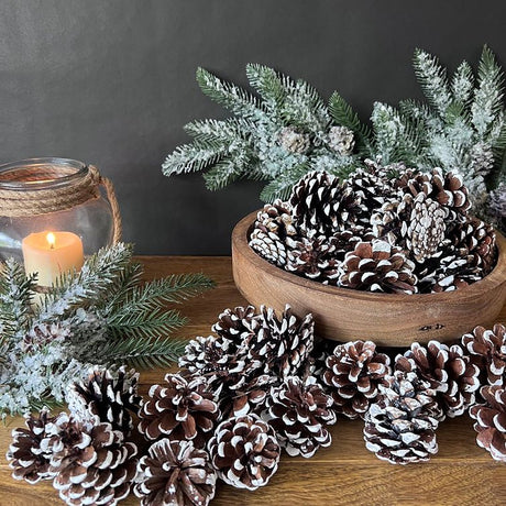 Bag of Snowy Pinecones