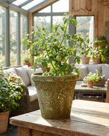 Aged Garden Planter Pot