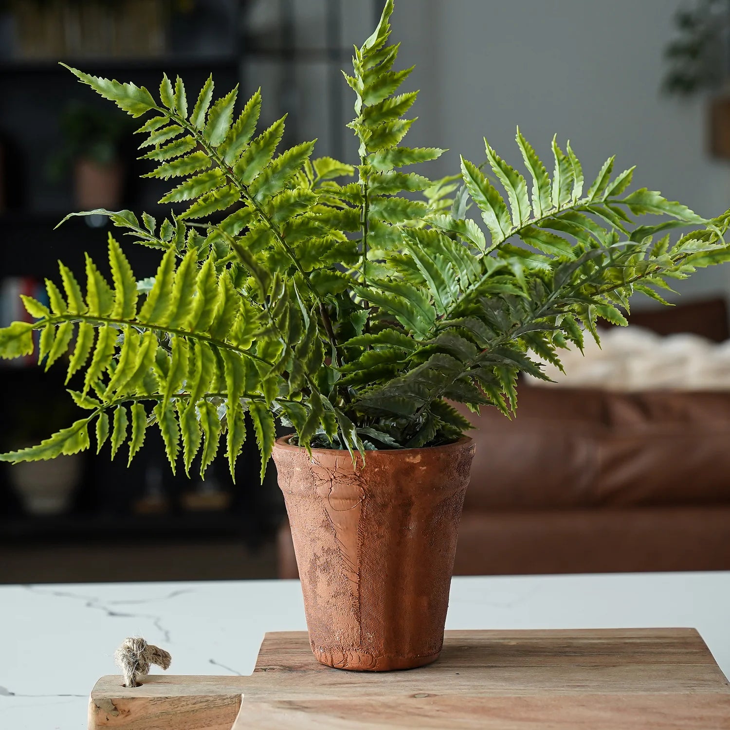faux plant in terracotta pot Faux Fern in Terracotta Pot