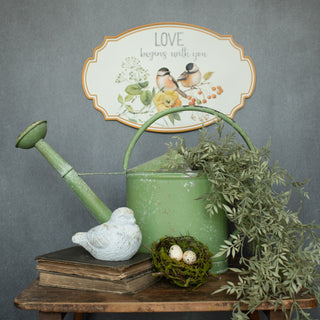 Aged Green Watering Can