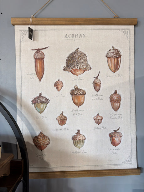 Squash and Acorn Botanical Print Wall Hanger