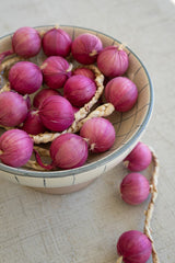 String of Artificial Purple Onions