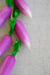 String of Artificial Radishes