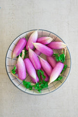 String of Artificial Radishes