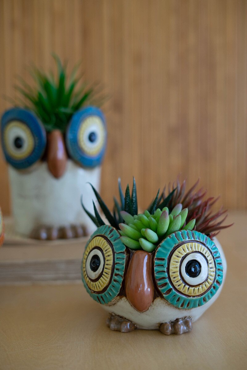 Wide Eyed Ceramic Owl Planter