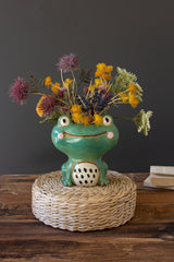 Ceramic Quirky Smiling Face Green Frog Planter