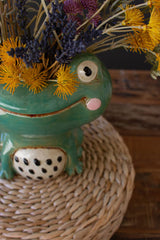 Ceramic Quirky Smiling Face Green Frog Planter