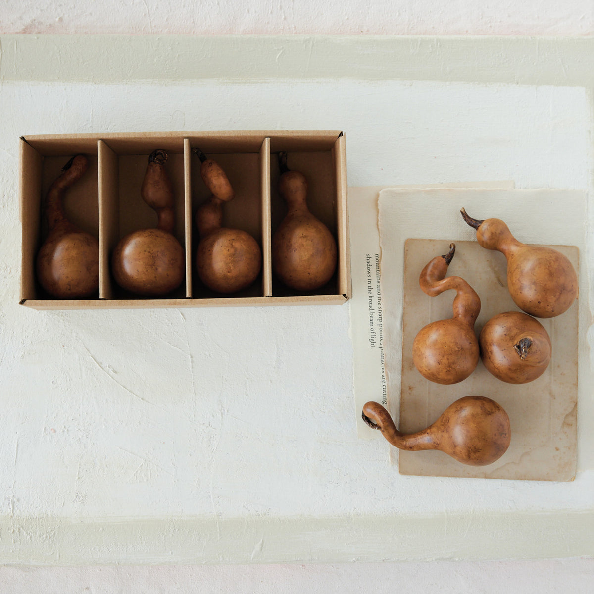 Brown Resin Gourds (Set of 4)