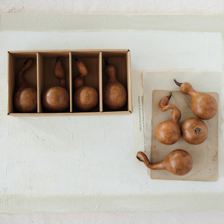 Brown Resin Gourds (Set of 4)