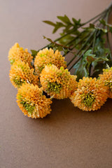 Artificial Yellow Ball Dahlia Bundle