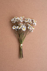 Faux White Chamomile Daisy Bundle