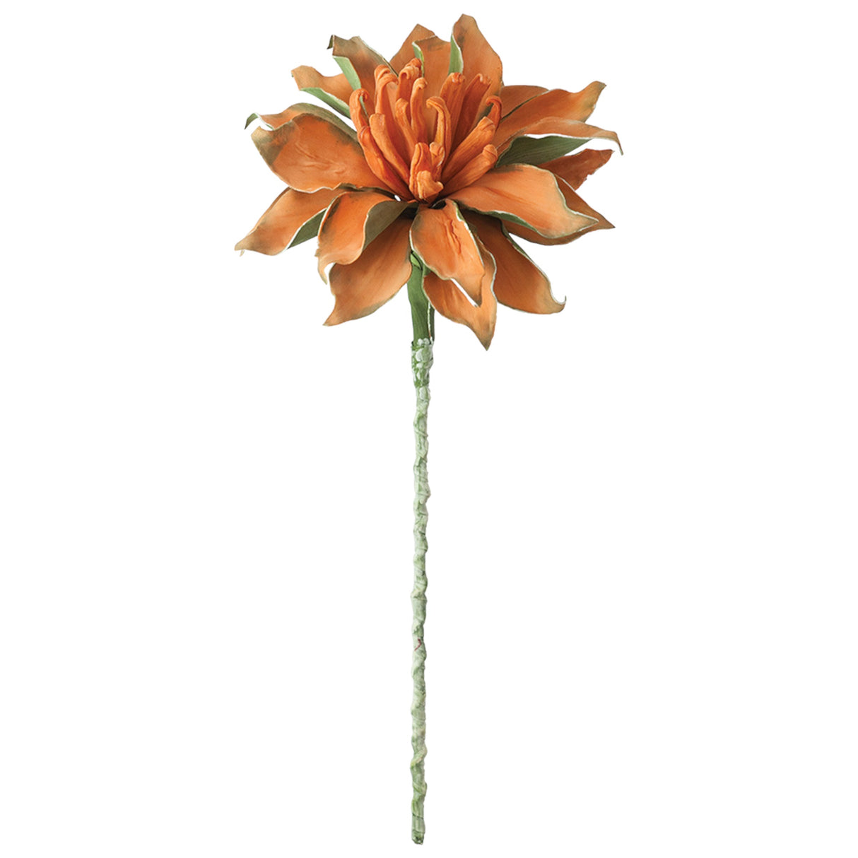 Foam Orange Flower Blossom Stem