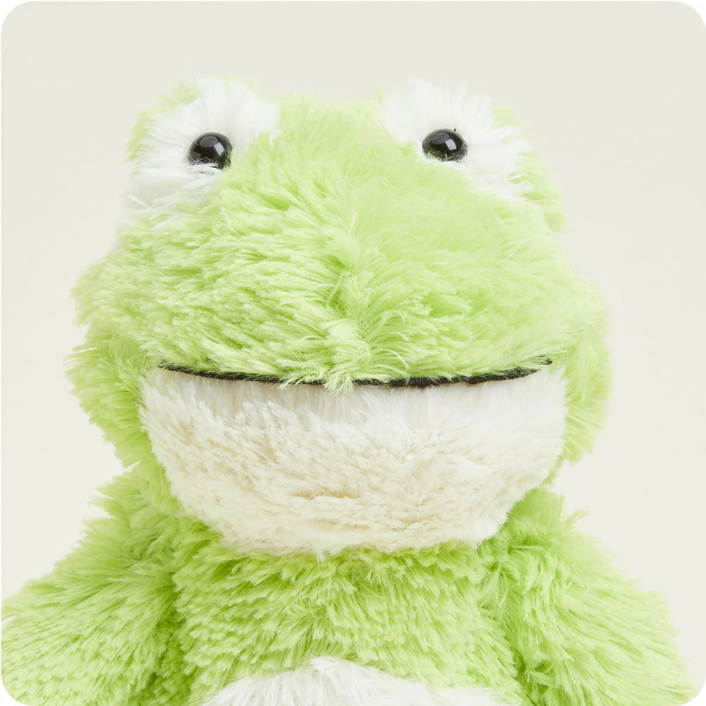 Green Frog Warmies Plush Animal