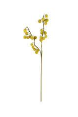 Yellow Billy Ball Stem