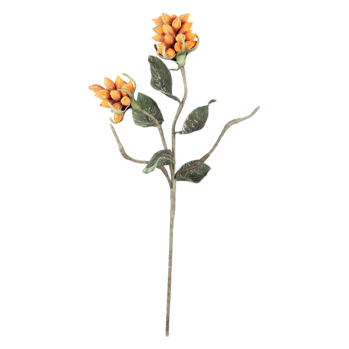 Foam Orange Seedling Pod Stem