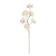 foam pink blossom stem by kalalou