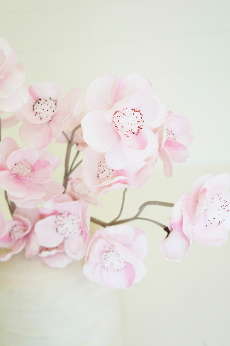 Foam Pink Blossom Stem