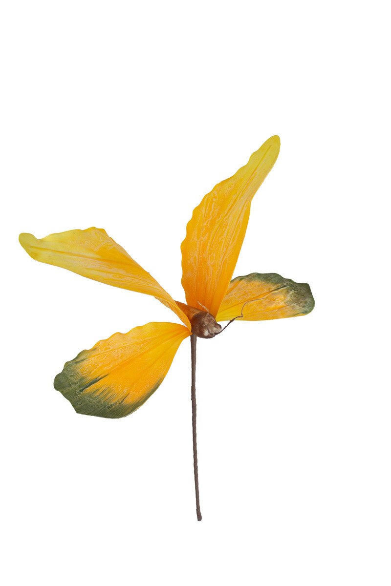 Large Botanical Butterfly Stem