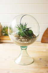 Round Glass Display Terrarium Globe