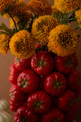 Ceramic Red Tomato Produce Vase