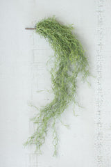 Artificial Green Hanging Moss Stem