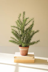 Artificial Rosemary Plant in Pot