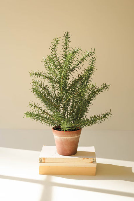 Artificial Rosemary Plant in Pot