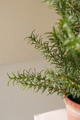 Artificial Rosemary Plant in Pot