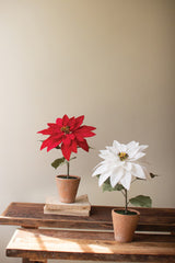 White Artificial Poinsettia in Cement Pot