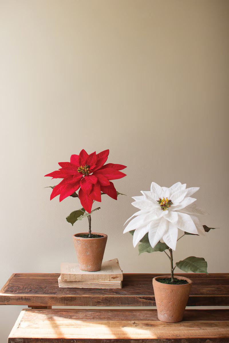 Red Artificial Poinsettia in Cement Pot
