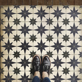 20'' x 30'' Vinyl Floorcloth (Pattern 20 - Astraea)